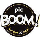 Pic Boom Delivery 图标