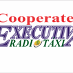 TaxiExecutiva - Taxista