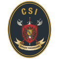 ”CSI Terceirização