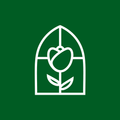 IP Filadélfia