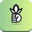 WeedOut: Quit Weed & Drugs