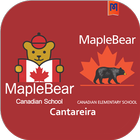 Maple Bear Cantareira icône