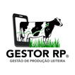 Gestor RP icon