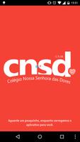 CNSD 海报