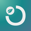 Dataforce APK