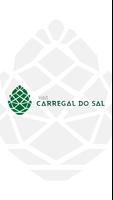 Visit Carregal do Sal poster