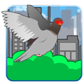 Poop Bird