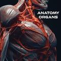 Hedu Anatomia Organs