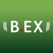B.EX