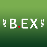 B.EX ไอคอน