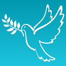 IBMS - Missionária Shalom APK