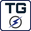 Grupo Tiger