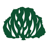 ”Igreja Presbiteriana de Ribeirão Pires