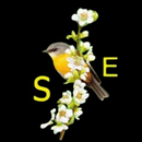 Sementes de Esperança APK