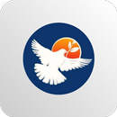 Igreja Shalom APK