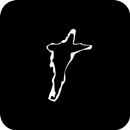 Comunidade Amor Real APK