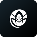 Lírio Igreja APK