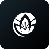 Lírio Igreja APK
