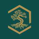 Grupo Sinsef APK
