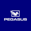 Pegasus