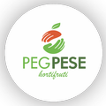 Peg Pese Supermercado