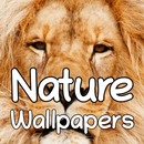Nature Wallpapers - Papel de p APK