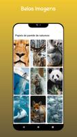 Nature Wallpapers - Papel de p screenshot 1
