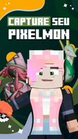 Pixelmon Brasil Cartaz