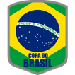 Copa do Brasil 2018