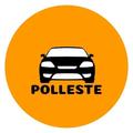 Polleste - Motorista