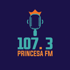 Rádio Princesa 107.3 MHZ ícone