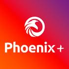 Rede Phoenix icône