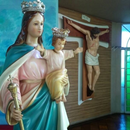 MATRIZ NOSSA SENHORA AUXILIADORA RVMS APK
