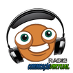 Radio Comunicação Virtual icon