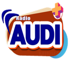 RÁDIO AUDI আইকন