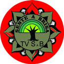 TV SENTE A BRISA APK