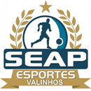 Tv Seap Esportes APK
