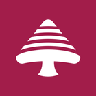Farid icon