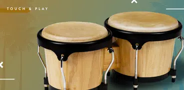 Congas & Bongos: percusión