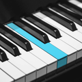 Real Piano: キーボード (楽器)