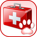 PetSafe - Primeiros Socorros