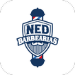 Ned Barbearias