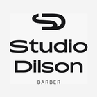 Studio Dilson icon