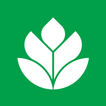 Icona Agronota