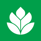 Agronota icono