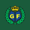 GF Monitoramento