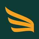 New Line Alarmes APK