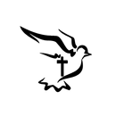 Igreja Toronto APK