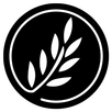 IGREJA VIDA NOVA APK
