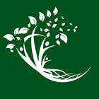 ipbvp ícone